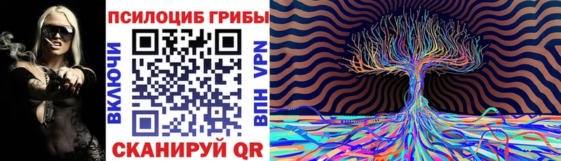 где купить наркоту  Чердынь  Галлюциногенные грибы GOLDEN TEACHER 